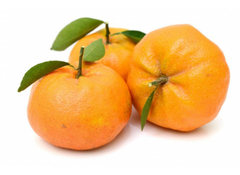 Мандарины на ветке 0.5 кг. торговой сети «С грядки»