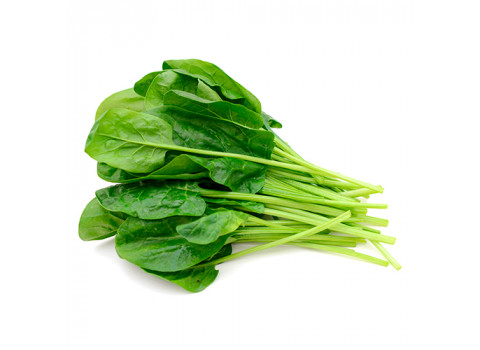 Щавель 100 гр. торговой сети «С грядки»