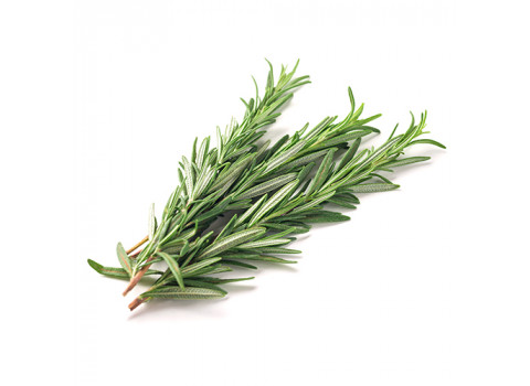 Розмарин 1 пучок торговой сети «С грядки»